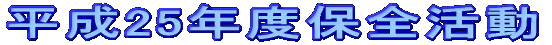 25NxۑS