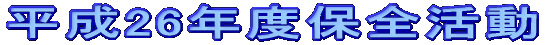 25NxۑS