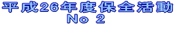 25NxۑS